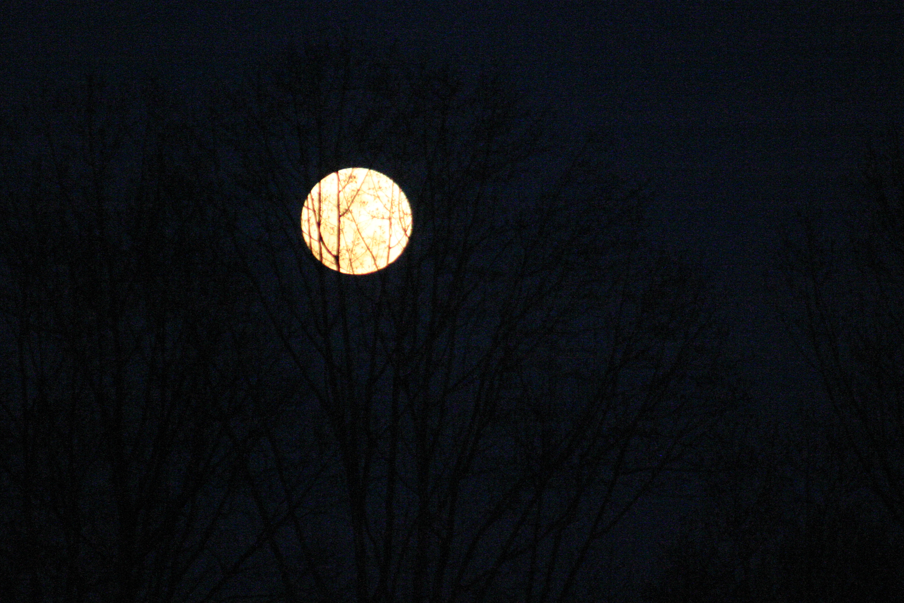 My photo: March 29, 2010 ‘March Moon Rising’ – Good Enough for Halloween 2018
