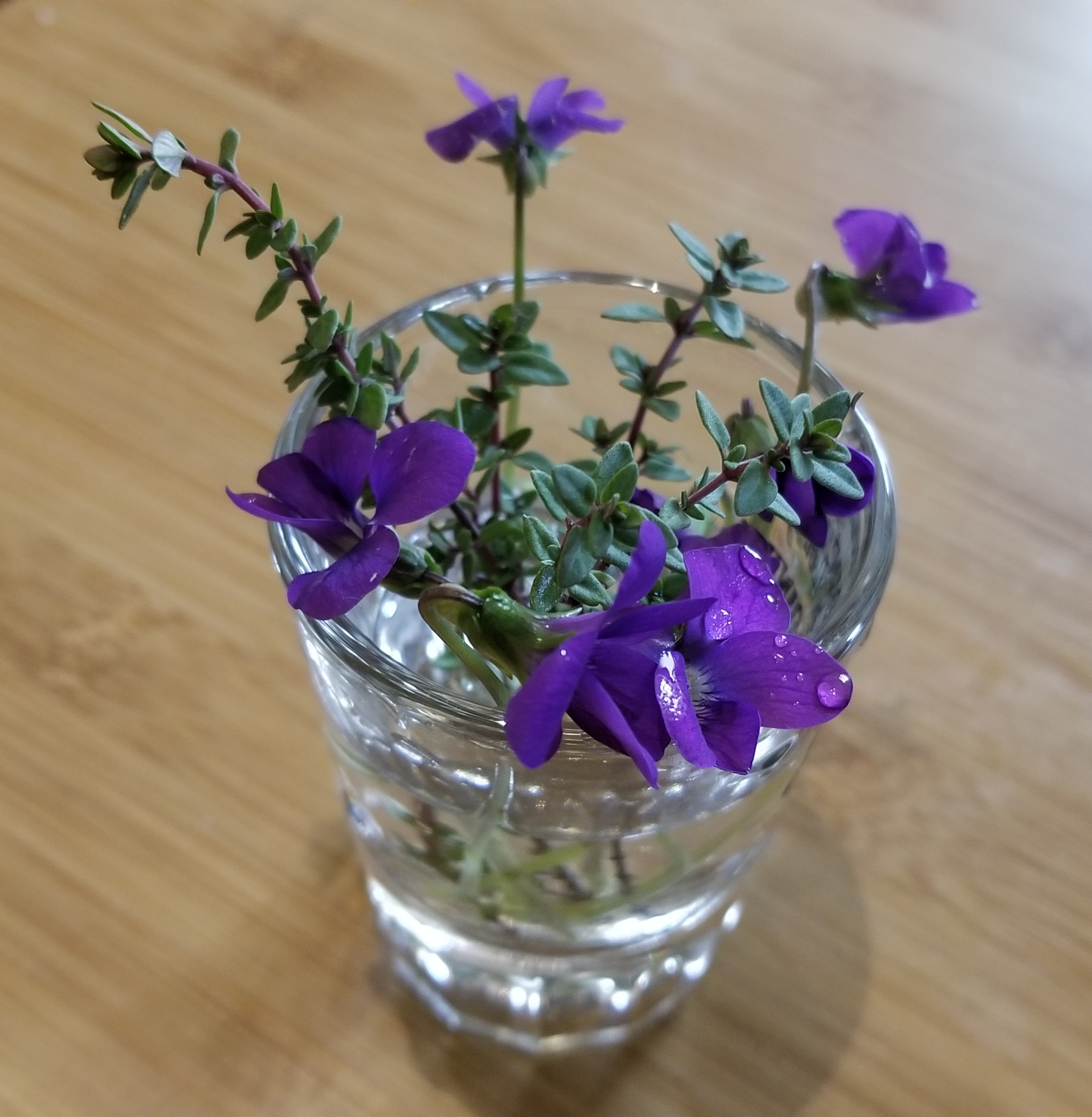 Violets and Thyme