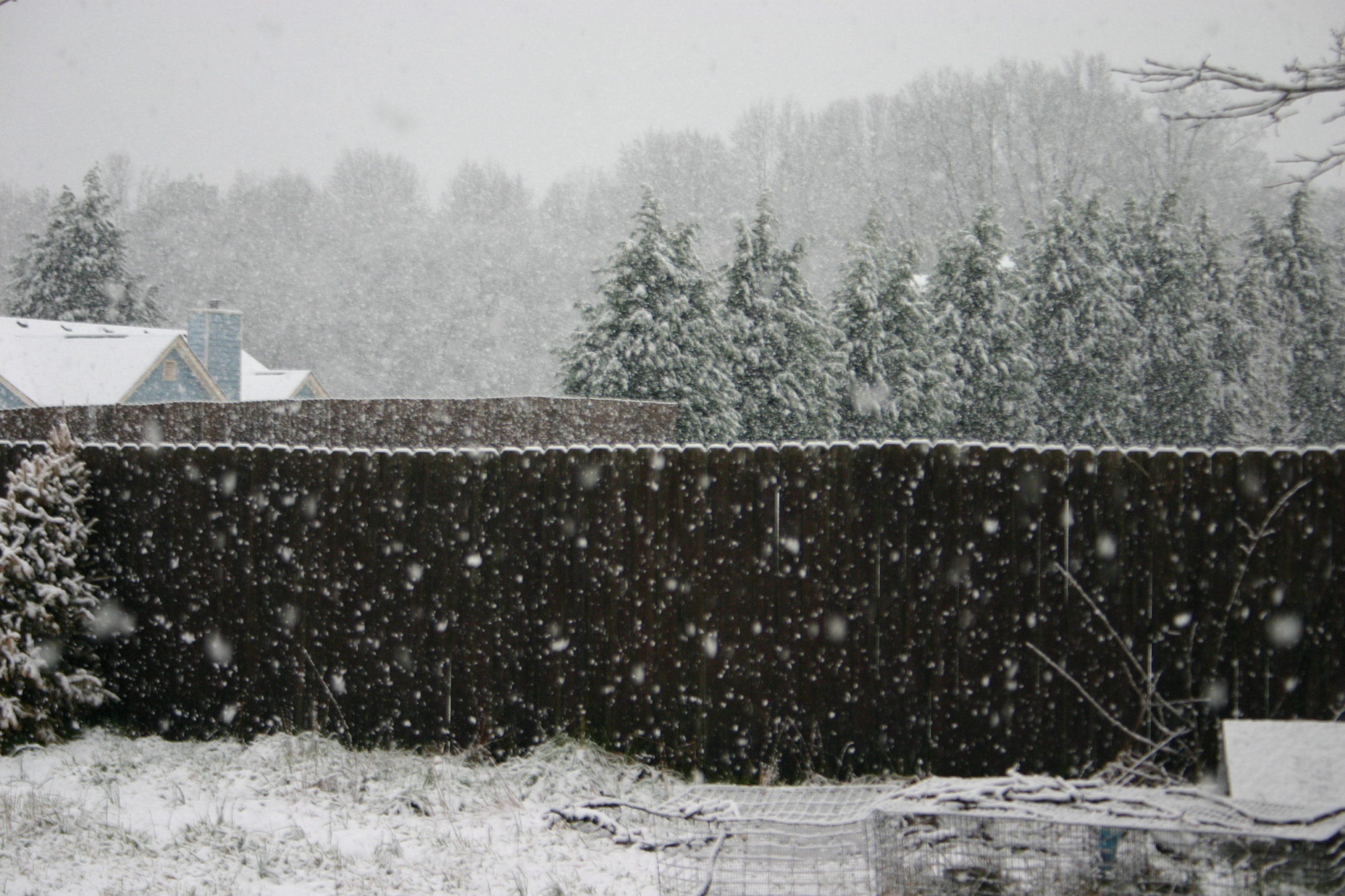 GA Snow in March 2009