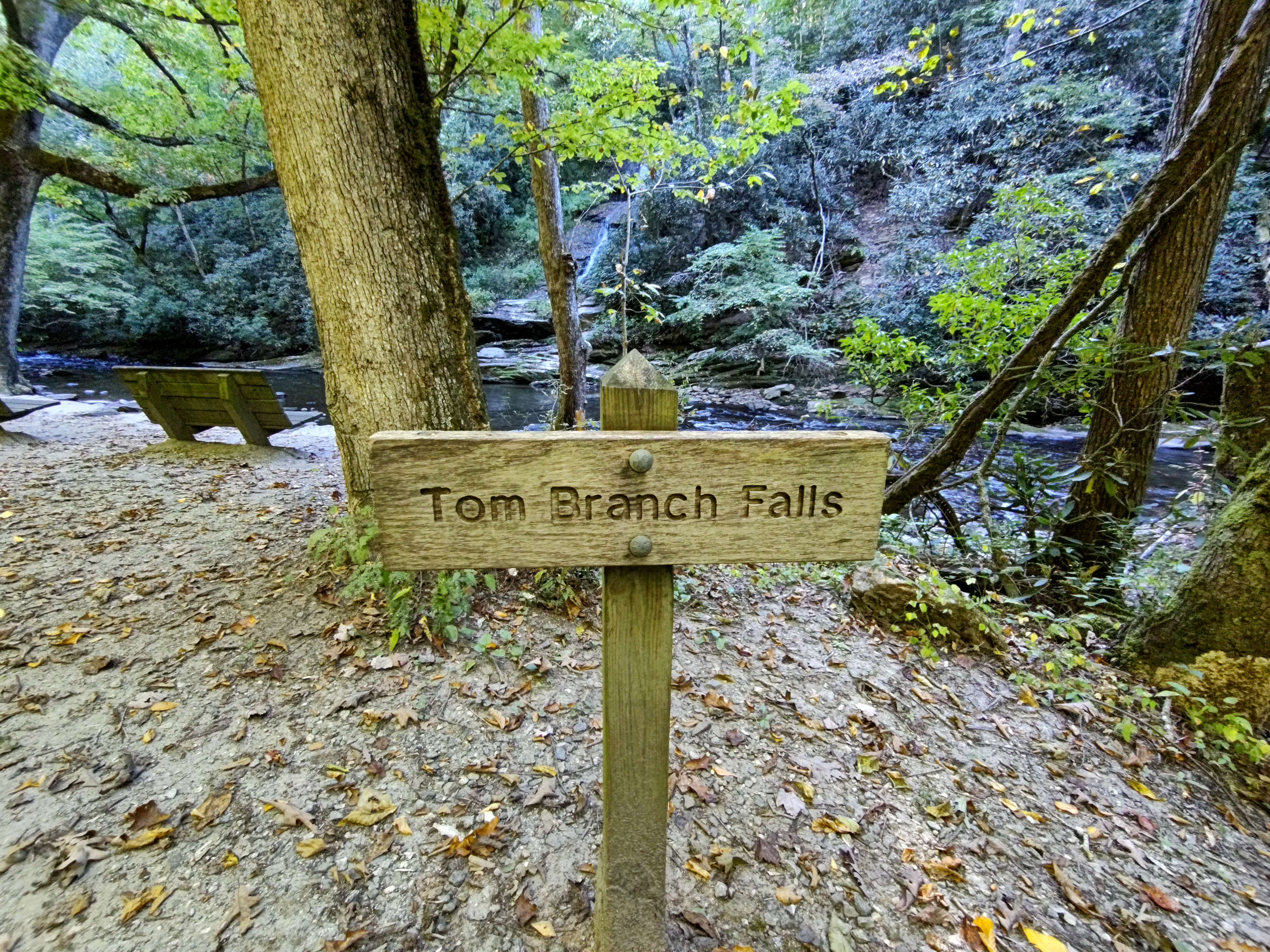 Tom Branch Falls – 9/29/22