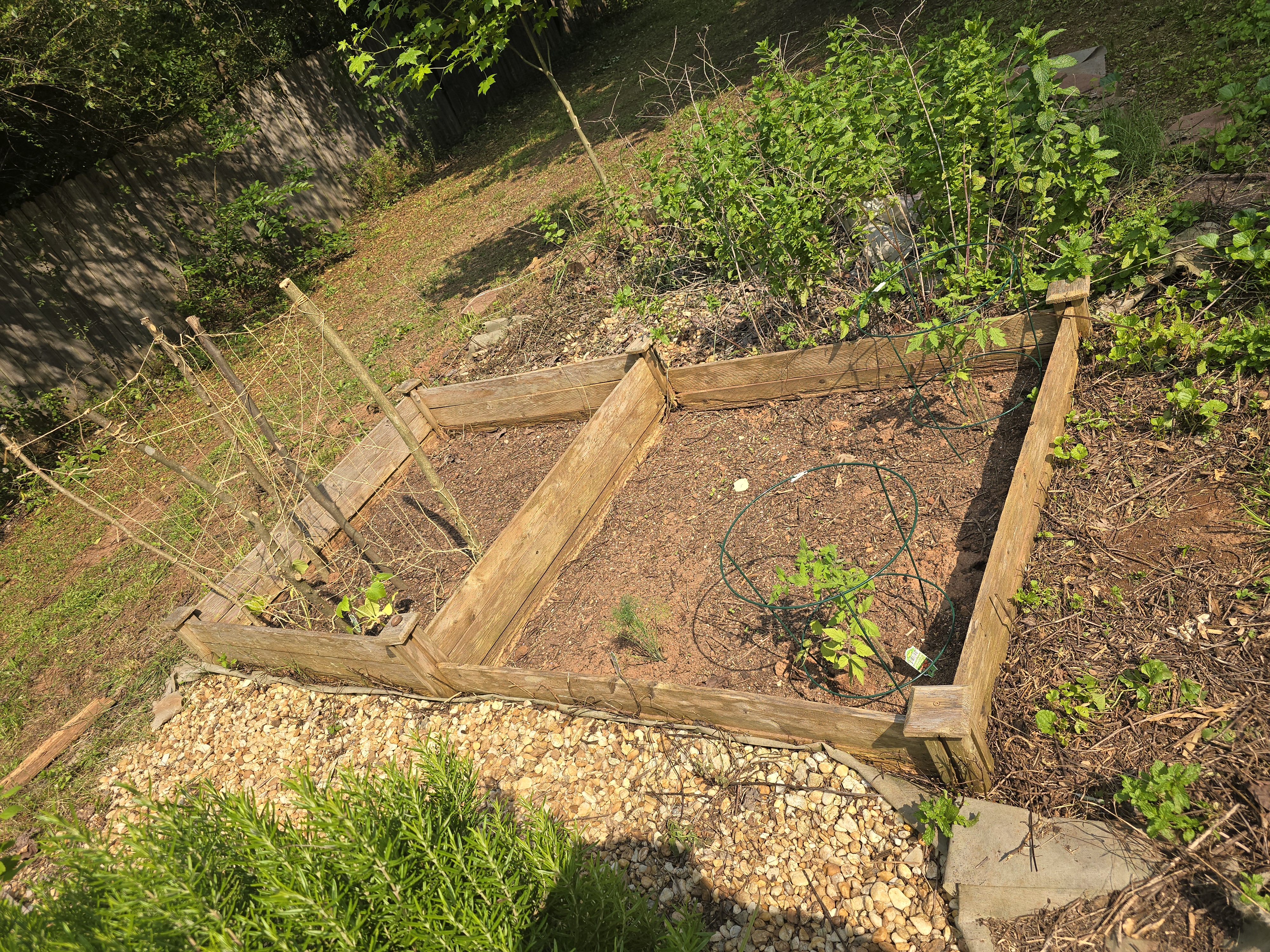 My Garden is getting better