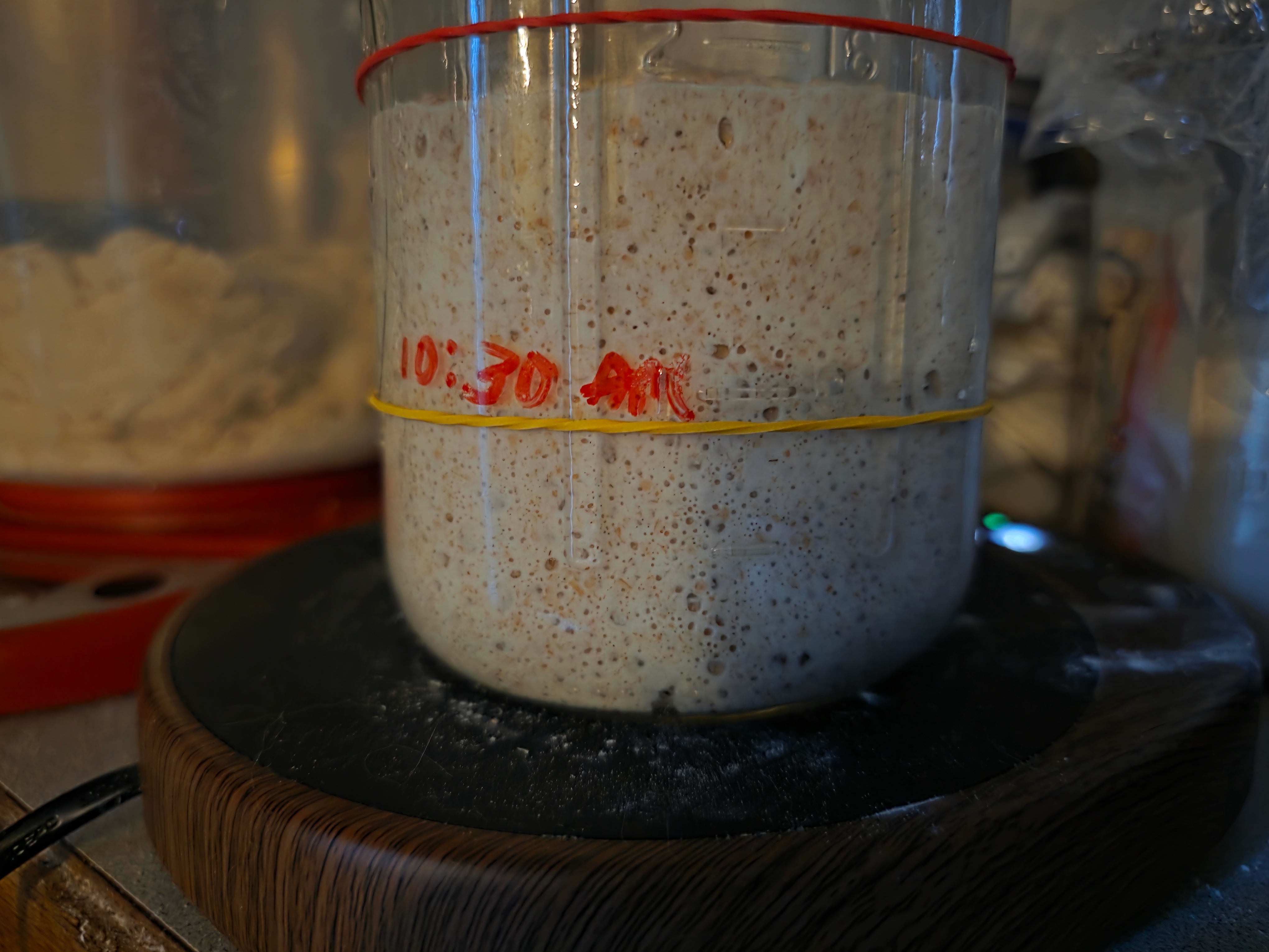My Sourdough Starter has been struggling
